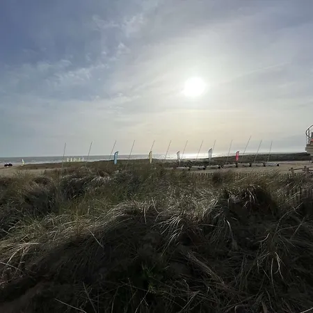 Charmant studio rénové à 50m de la plage avec terrasse et parking - FR-1-224C-82 Saint-Jean-de-Monts