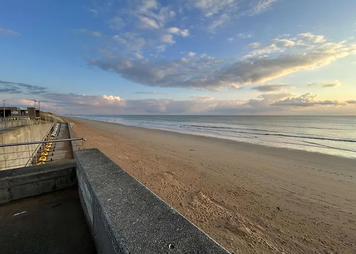 Charmant Studio Renove A 50M De La Plage Avec Terrasse Et Parking - Fr-1-224C-82 דירה