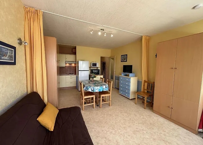 Charmant Studio Renove A 50M De La Plage Avec Terrasse Et Parking - Fr-1-224C-82 דירה *