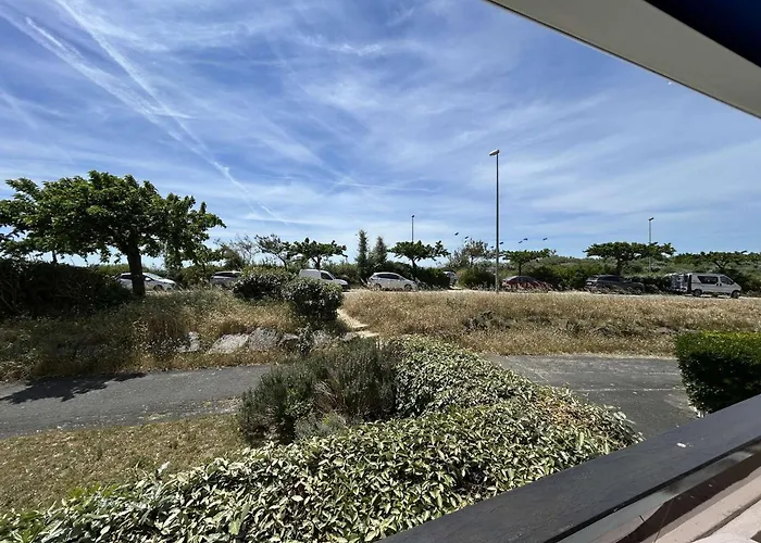 Charmant Studio Renove A 50M De La Plage Avec Terrasse Et Parking - Fr-1-224C-82 דירה